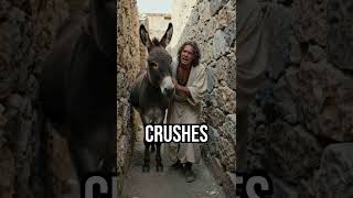 Mercy looks different #BibleStory #FaithLessons #ScriptureTruth
