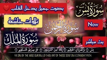 سورة يس، سورة الرحمن، سورة الملك، بصوت عمر محجوب، سور الرزق وتيسير الحال راحه وطمأنينه The Quran