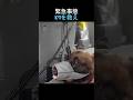 警察犬を救うため、ヘリを飛ばした警察