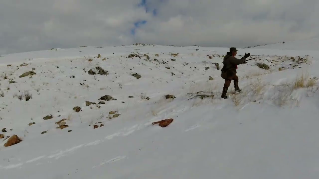 Tavşan Avı Karda İz Sürme 