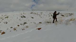 Tavşan Avı Karda İz Sürme На Кроликов