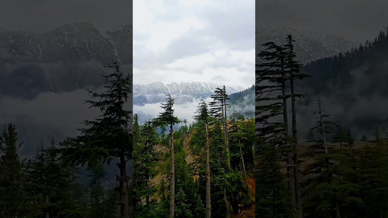 Kalam view Point Green top || Kalam Valley || Green top | Boyun Village 