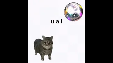 OIIA Cat X Mayonaka No Door Stay With Me 