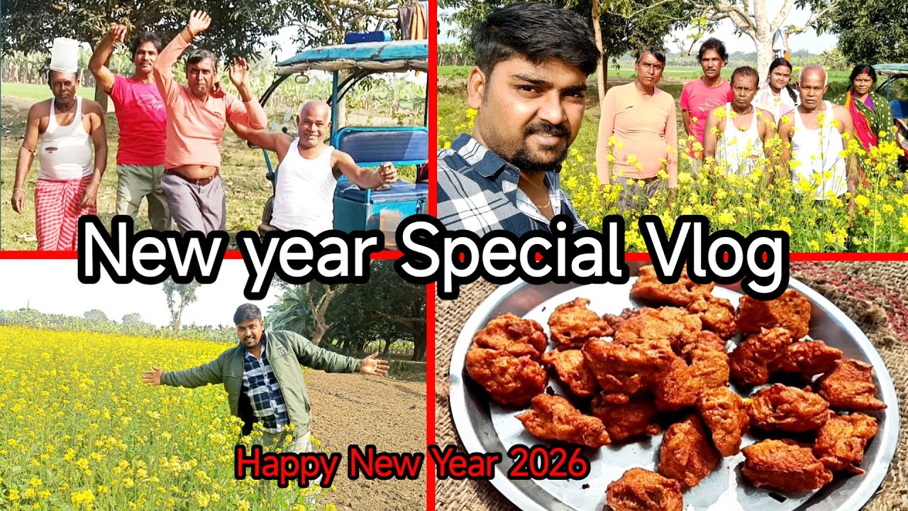 নতুন বছরের প্রথম পিকনিক দারুন মজা হলো / Happy New Year 🥰 AB Swapna Puron