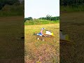 rc plane model vespa terbang #aeromodelling #pilotganteng #rcplane
