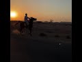 كــلــنــا فــرســان مــن فــوق الــصــاــيــل كــلــنــا فــرســان مــن فــوق الــصــاــيــل