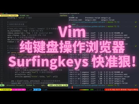 surfingkeys vim 方式纯键盘快速操作浏览器