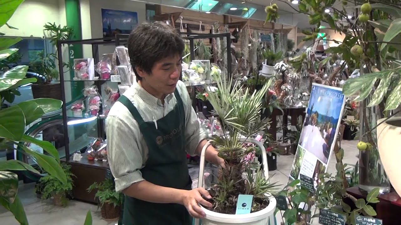 maxresdefault.jpg?sqp=-