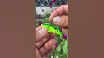 Lure cá sắt gắn lỗ nào ?