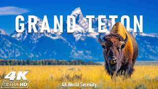 GRAND TETON 4K UHD – Witness Sunrise Over Iconic Peaks, Alpine Lakes & Untouched Wilderness Net Worth