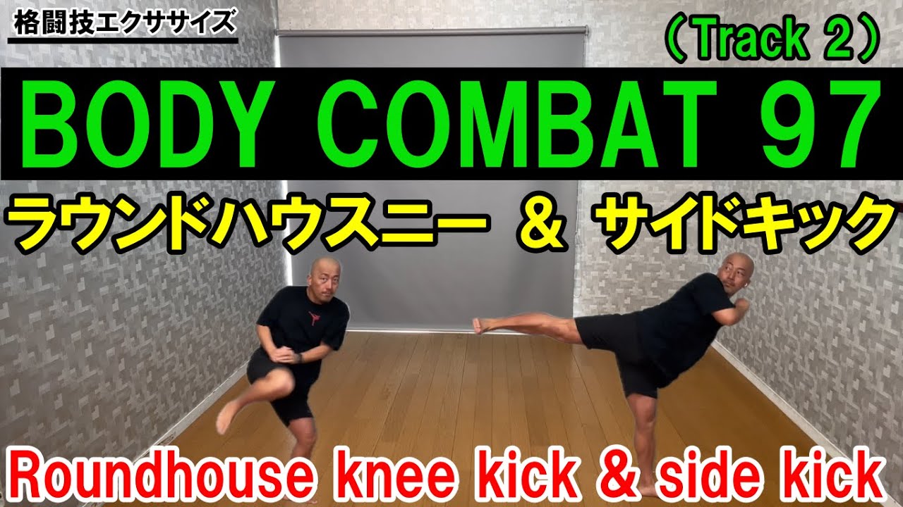 knee kick & side kick
