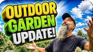 Outdoor garden update #organicgardening 