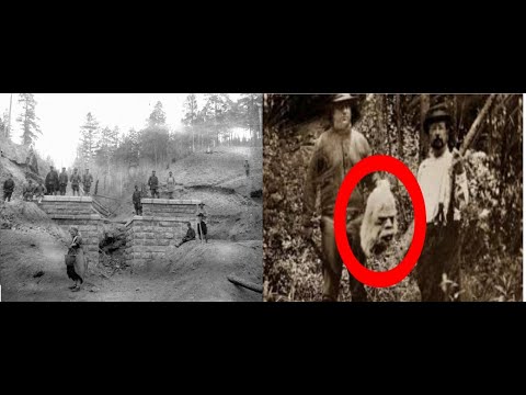 Встреча с великанами в Сибири