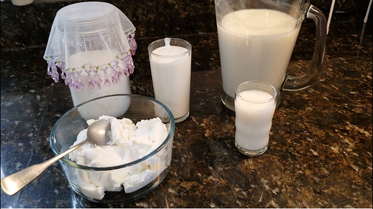 Para Que Serve O Soro Do Kefir De Leite