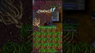 TIBIA / EL PODER DE LAS GREAT MANAS