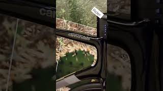 Cannondale Supersix Evo Ultegra Di2 Vehicle