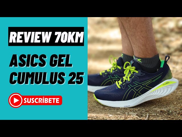 Asics Zapatillas Running Gel-Cumulus 25 TR Gris