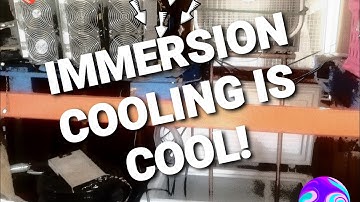 DIY Immersion Cooling Crypto Mining S17