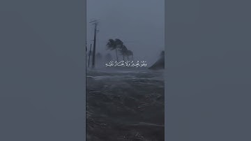 قل لمن الأرض ومن فيها | سورة المؤمنون | القاري:يأسر الدوسري #فلسطين #غزة #كوردستان #explore#اكسبلور