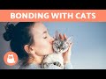 How to STRENGTHEN the BOND With Your CAT 🐱❤️🧍‍♀️