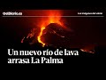 🌋 Tres semanas de erupción volcánica: un nuevo río de lava arrasa la isla de La Palma