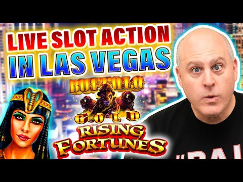 Live Slot Action In Las Vegas 🃏 Buffalo Gold, Rising Fortunes, Cleopatra Gold and More!