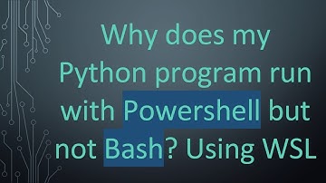 Why does my Python program run with Powershell but not Bash? Using WSL