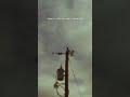 Solid Ground was originally a 90sec song written for Netflix. We ended up finishing it,we loved it.