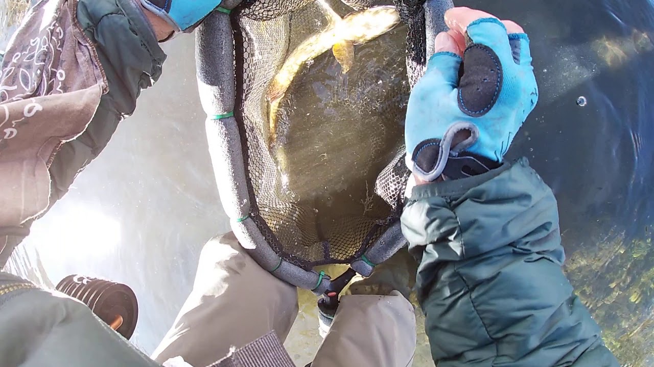 Home made streamer jig style YouTube