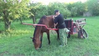 Заездка лошади в телегу . Мягкие методы. HX.Riding the horse into the cart. Soft methods.