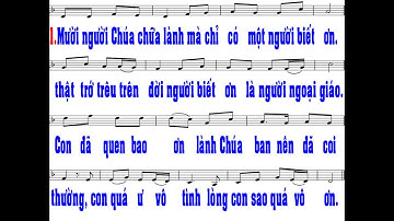 Lòng Biết Ơn - Lm. Thái Nguyên l Chúa Nhật 28 Thường Niên C