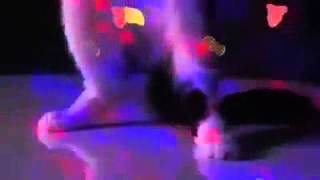 Katzen party screenshot 3