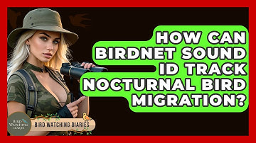 How Can BirdNET Sound ID Track Nocturnal Bird Migration? - Bird Watching Diaries