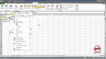 Excel: Inserting and Editing Comments