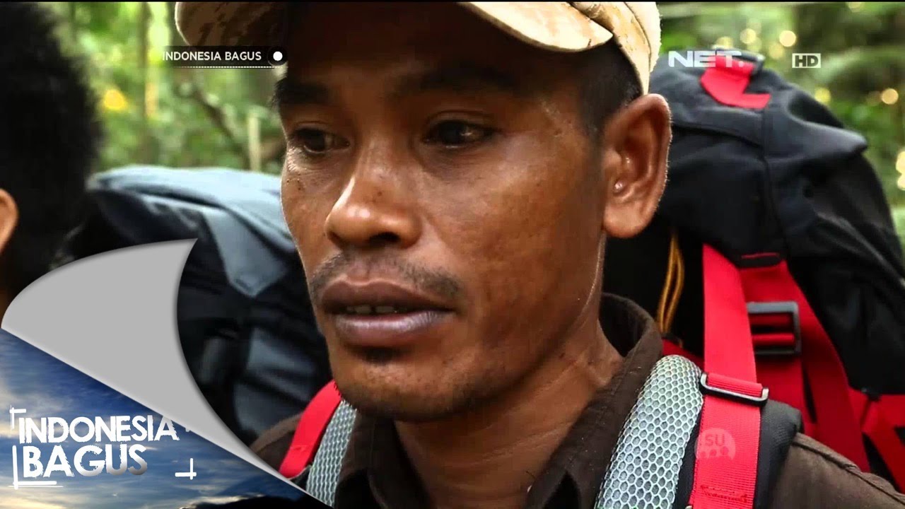  Indonesia Bagus  Ujung Kulon Melestarikan Taman 