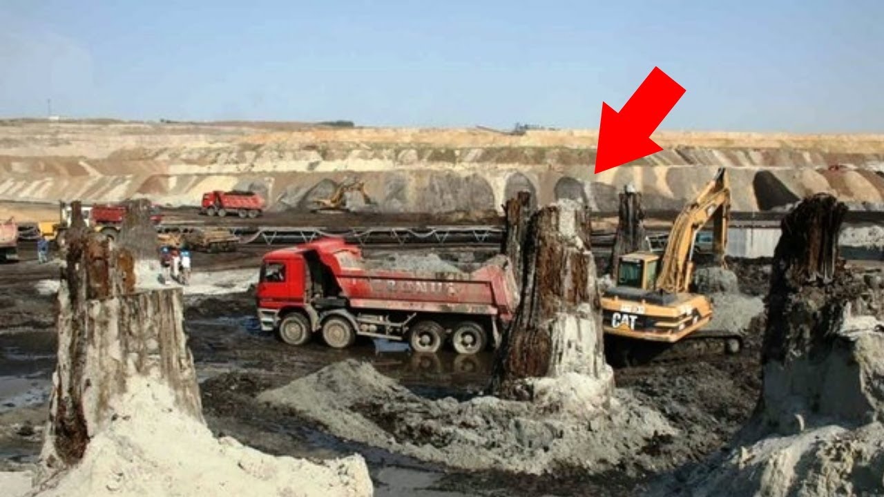 Найдены огромные деревья под 60-ти метровым слоем грунта. Что и как ...