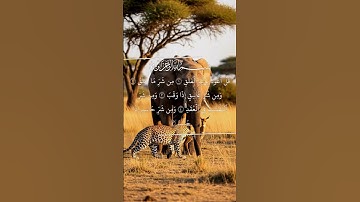 سورة الفلق...القارى/ محمد الفقيه #quran #fyp #foryoupage #قران_كريم #قرآن #foryourpage #تلاوة_خاشعة