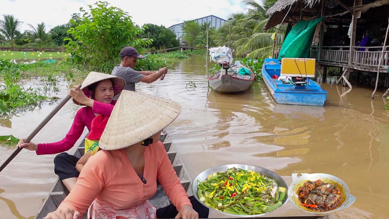 Mùa Nước Nổi Giăng Lưới Kế Bên Chòi dính Đủ Loại Cá được Bữa Cơm Ngon | HQ #1650