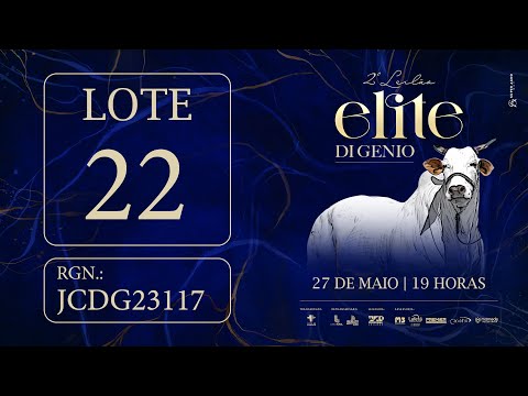 LOTE 22 JCDG 23117