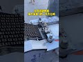 Bone chopper" "Bone cutter" "Fully automatic bone chopper"