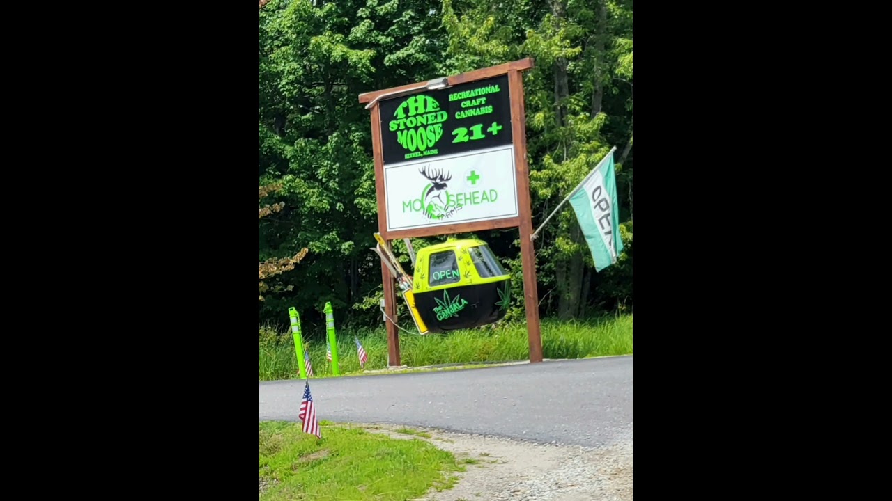 21,and older,The Stoned,MOOSE,