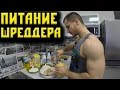 Мое ПИТАНИЕ Шреддера !                VOD