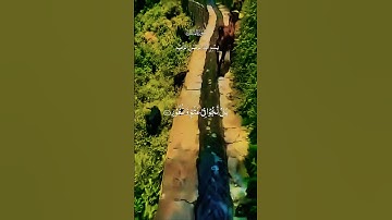 تلاوة خاشعة بصوت جميل ومؤثر #islamic_video #اكسبلور #تلاوة #aslam #duet #trend #islamicquan