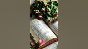 القران الكريم كتاب الانسانيه كلها