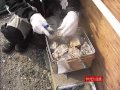 佐渡・牡蠣のガンガン焼き実演