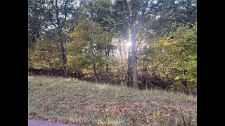 Lots And Land for sale - 8, Gravois Mills, MO 65037