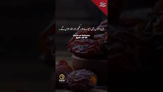 Surat-ur-Rehman Ayat: 68-69 #shorts #suraturrehman #islamicshorts #short #quranurdutranslation