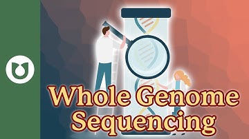 Will Whole Genome Sequencing Show Who with Smoldering Myeloma Will Develop Myeloma? #NGS