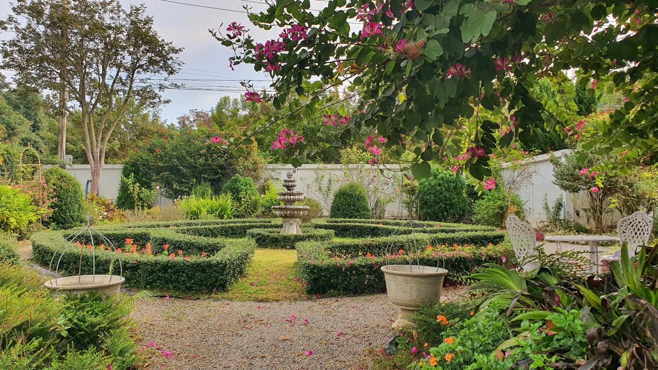 ชมสวนอังกฤษยามเช้า หน้าหนาวดอกไม้บานสวยทั่วสวน🌸🌹🐕Hatley Garden