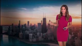 Cheryl Scott ABC 7 7/17/2026